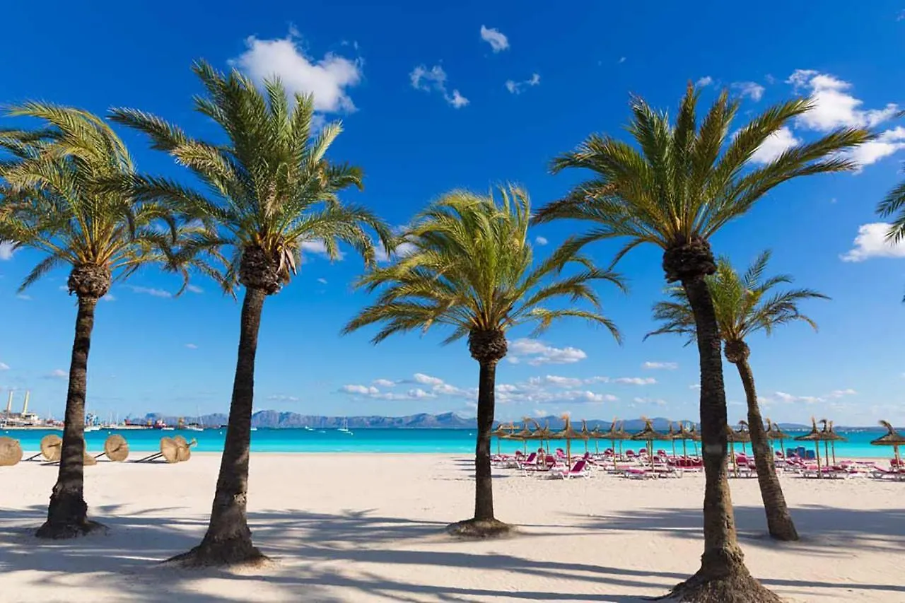 Apartment Oiza Canopus Sea Views At The Beach Alcúdia Spanien